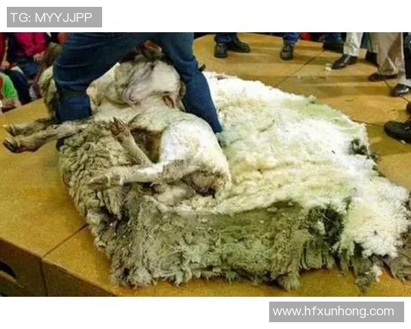 足球明星意外走光瞬间曝光引发热议网友纷纷围观评论不断